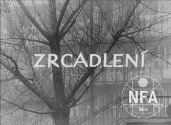 Zrcadlení